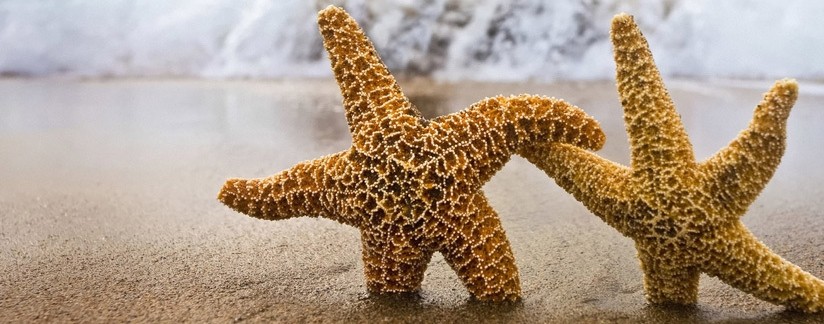 武夷山、九曲溪、福州、泉州、廈門、龍巖、永