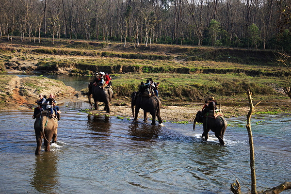 印度、尼泊爾9日