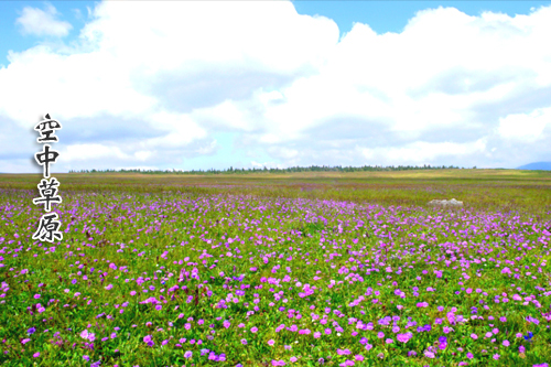 淶源：白石山世界地質(zhì)公園、空中草原、十瀑峽