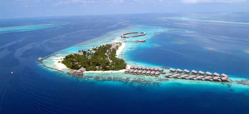 馬爾代夫--可可棕櫚波杜希蒂島 Coco Palm Bodu Hith