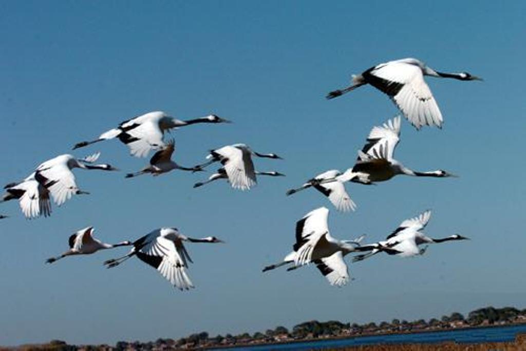 B線-俄羅斯海參崴 長白山 鏡泊湖 長春 山海關(guān) 旅