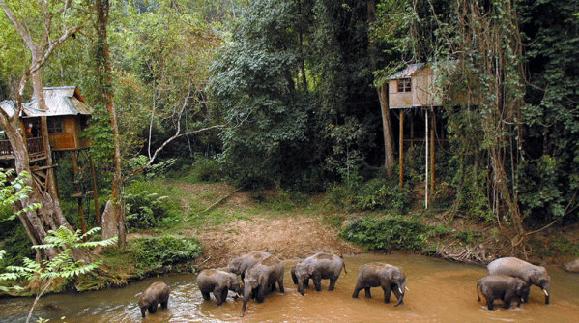 【云南環(huán)飛】昆明九鄉(xiāng)、西雙版納、中緬邊境三