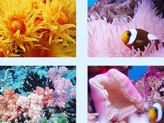 <strong><font color='#0000FF'>大連、旅順、圣亞極地海洋館一臥一飛三日</font></strong>