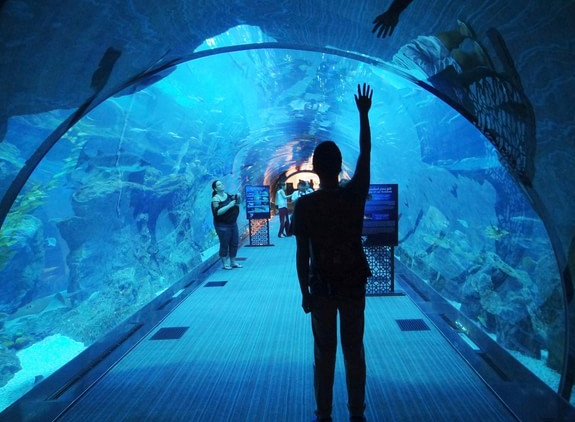 奢華阿聯(lián)酋6天(全程卓美亞酒店集團奢華5星酒店