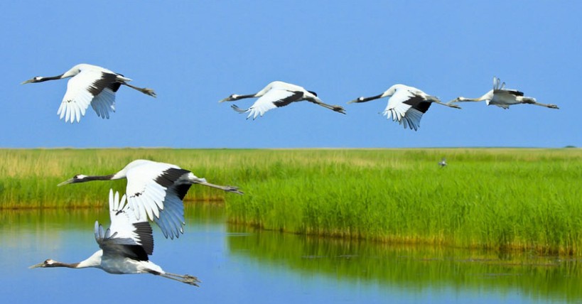 五大連池、扎龍、哈爾濱動(dòng)臥5日*純玩無(wú)購(gòu)物*