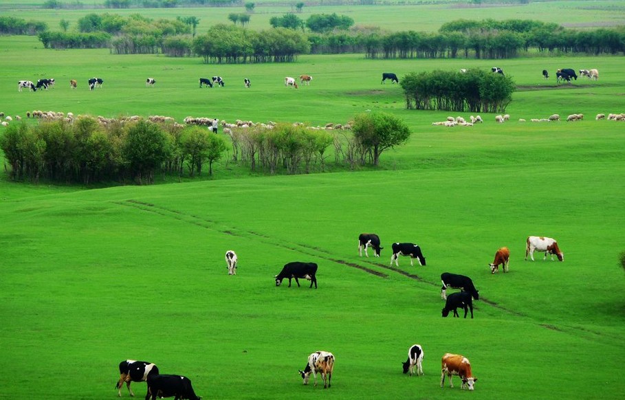 阿爾山、呼倫貝爾、滿洲里雙臥6日