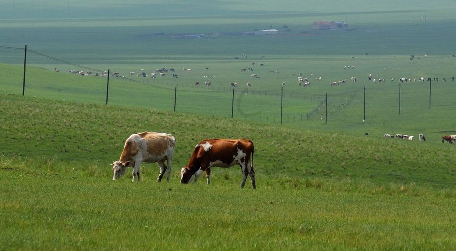 阿爾山國(guó)家森林公園、七仙湖草原雙臥5日