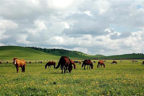 木蘭圍場、內(nèi)蒙古烏蘭布通草原3日
