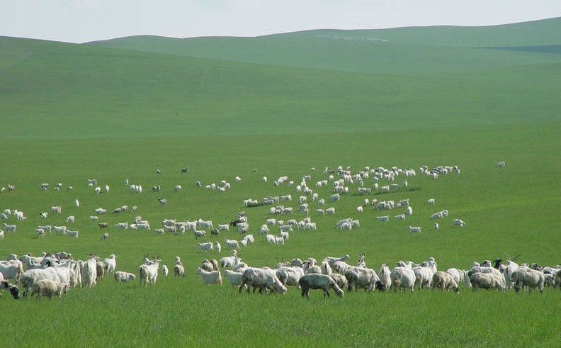 希拉穆仁草原、庫(kù)布其沙漠、席力圖召、成吉思