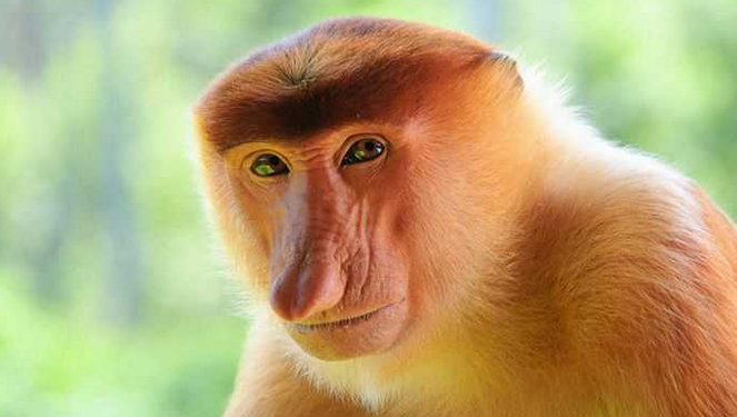 文萊一地4晚5天【純玩團(tuán)】