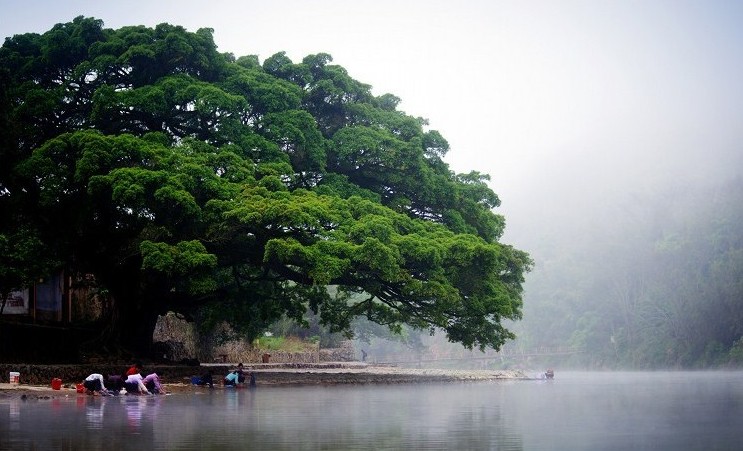 廈門鼓浪嶼、南靖云水謠土樓、船游金門、集美
