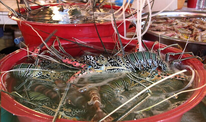 長灘島半自由行4晚6日<含領(lǐng)隊>風(fēng)帆出?？慈?/></a>
                  </div>
                  <p class=