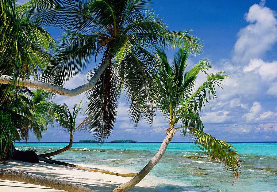 分界洲.南山.亞龍灣天堂公園雙飛5日