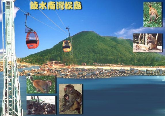 西島.南山大小洞天.南灣猴島雙飛5~6日