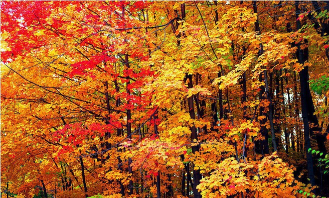 純玩-攝影團(tuán):夜色翡翠人家 千島湖農(nóng)家酒店H8-2：