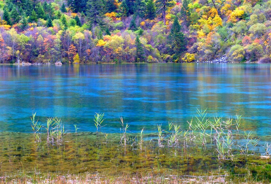 成都、九寨溝、黃龍雙飛5日**綿陽往返**