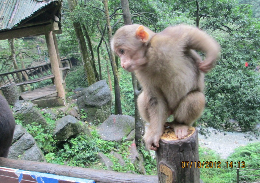 成都、**后的香格里拉——稻城亞丁 4飛5日游