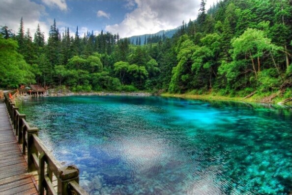 成都、九寨溝、黃龍雙飛5日**純玩**