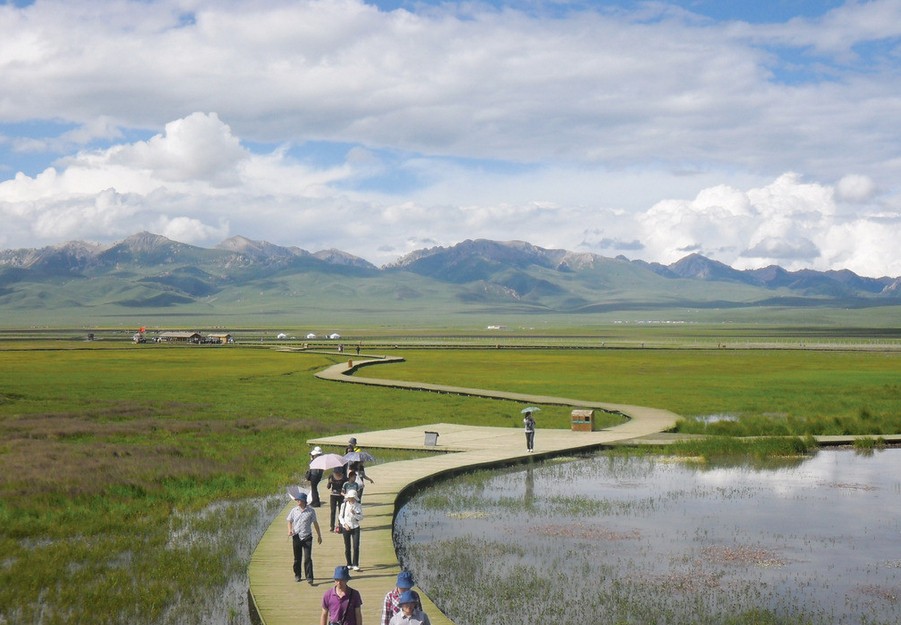 成都、花湖、若爾蓋、九曲第一灣雙飛5日