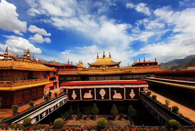 西寧、塔爾寺、青海湖、拉薩、林芝、雅魯藏布