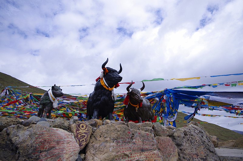 <西藏全景雙臥12日游>0自費(fèi)，轉(zhuǎn)雙湖，林芝2晚，