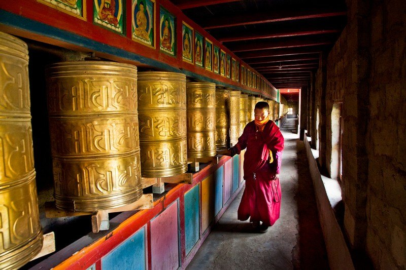 西寧、塔爾寺、青海湖、拉薩、林芝、雅魯藏布