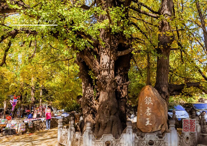 保山、騰沖、怒江雙飛5日