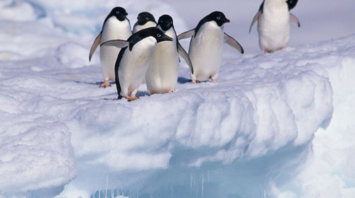 12月17日北京往返，南極攝影之旅